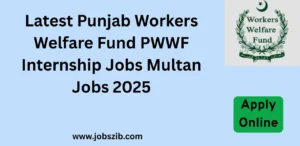 Latest Punjab Workers Welfare Fund PWWF Internship Jobs Multan 2025